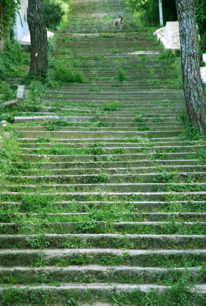 Buyukada楼梯图片下载