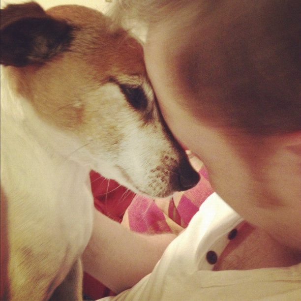 人和他心爱的狗图片下载