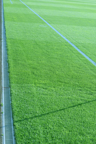 体育场领域图片下载