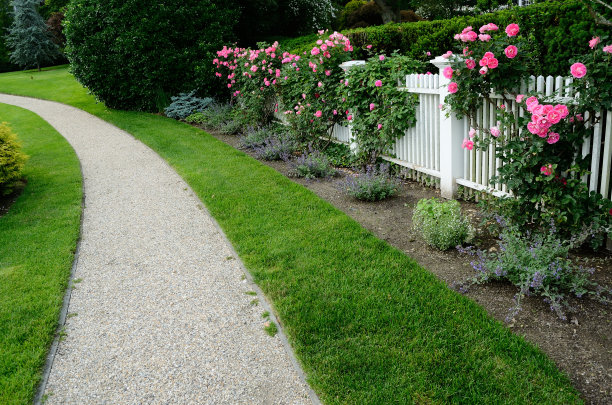 花园小径和玫瑰篱笆图片下载