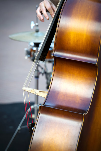 最低音的图片下载