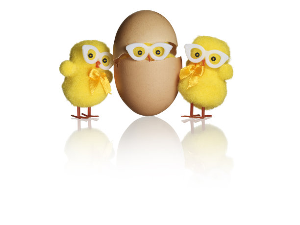小鸡藏在蛋里，旁边还有两只图片下载