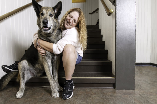 德国牧羊犬的爱图片下载