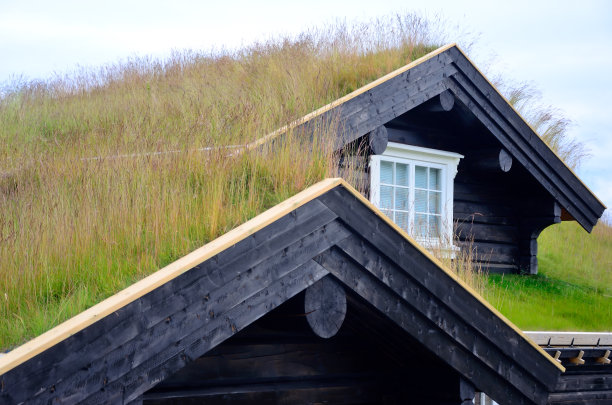 铺着草的屋顶，挪威图片下载