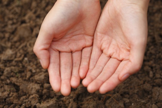 人类的手图片下载