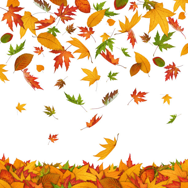 秋叶下降图片下载