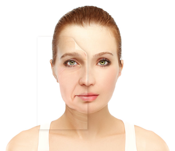 衰老的过程图片下载