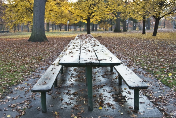 秋天野餐桌上图片下载