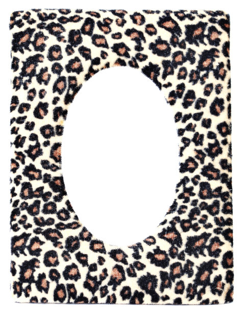 豹纹相框图片下载