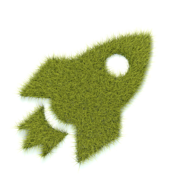 用草做成的火箭形状图片下载