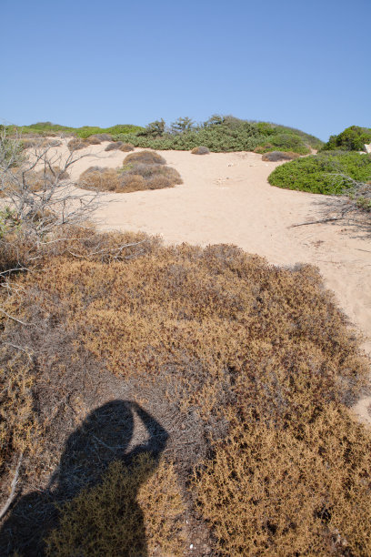 摄影者:西西里岛野生海滩上的影子图片下载