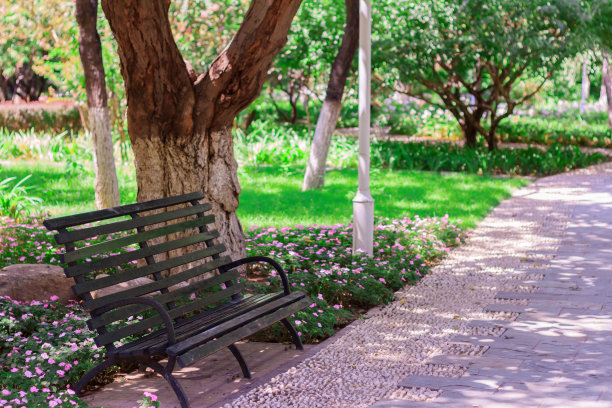 花园里的长凳图片下载