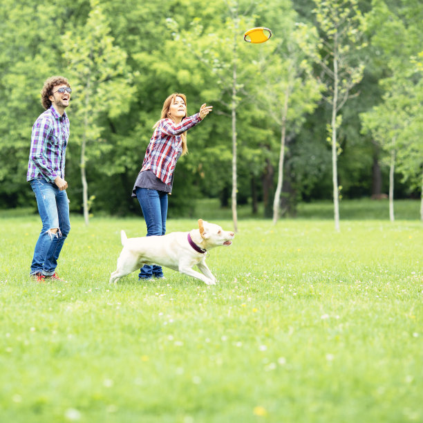 一对快乐的夫妇在户外向他们的狗扔飞盘。图片下载
