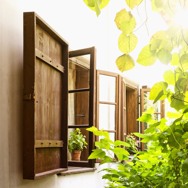 阳光灿烂的日子图片下载