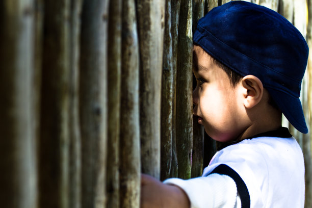 男孩透过木栅栏看斑马图片下载