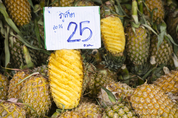 热带水果菠萝图片下载