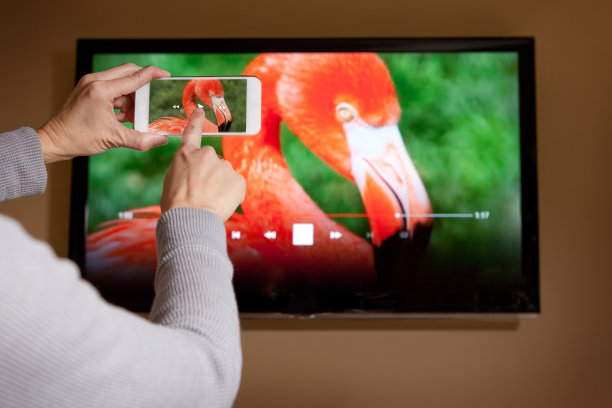 从手机到电视播放视频的女人图片下载