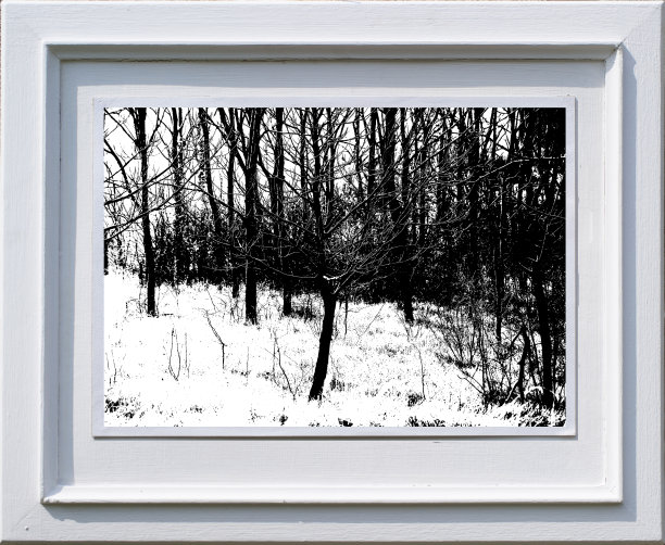 简单的白色框架与paspartou和图形图片下载