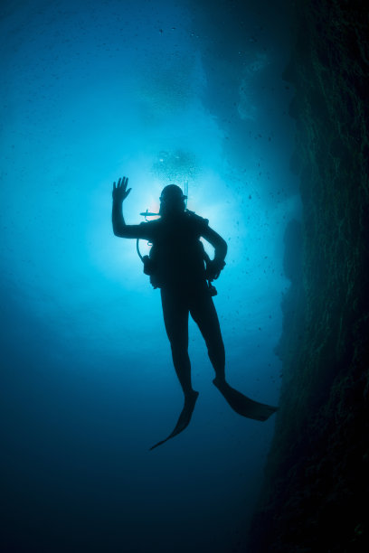 戴水肺的潜水员轮廓图片下载