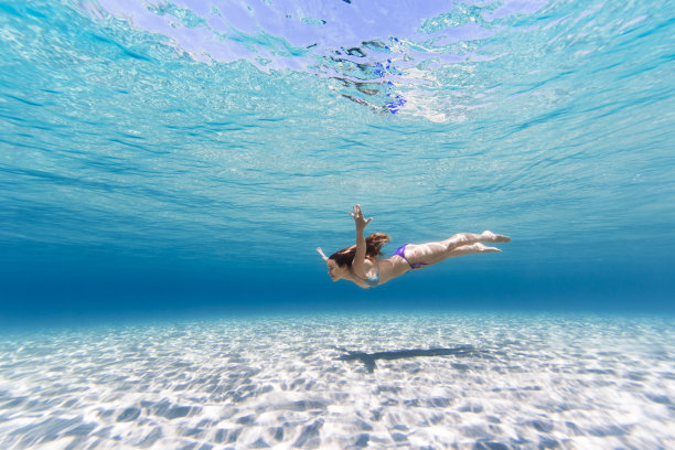 在水中飞翔图片下载