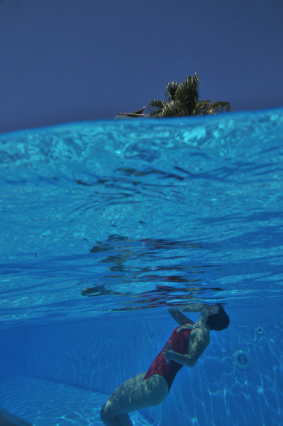 在游泳池里。图片下载