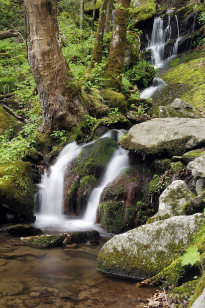 瀑布图片下载