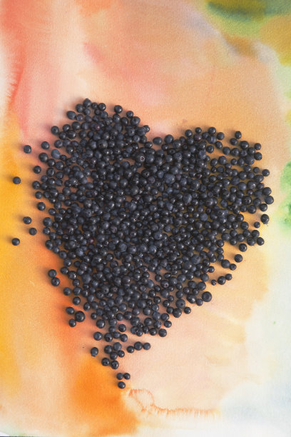 蓝莓的核心。图片下载