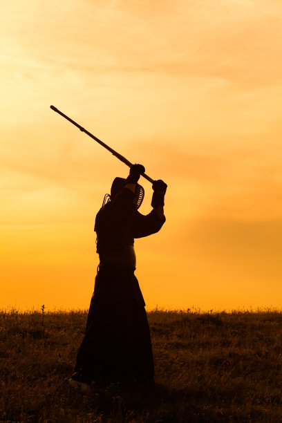 剑道战斗机图片下载