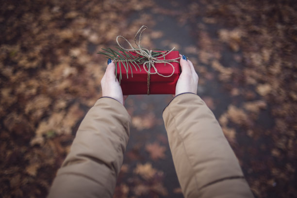 年轻女子拿着圣诞礼物图片下载