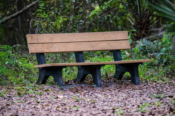森林中的长椅图片下载