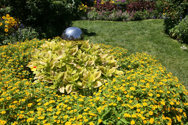 黄色的花园图片下载