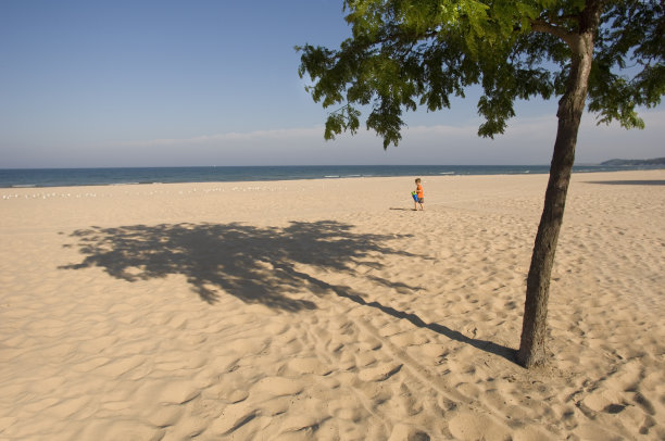 阳光沙滩上的树和儿童图片下载