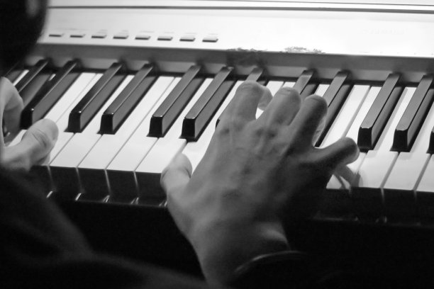 乐池展示黑白键盘-散音图片下载