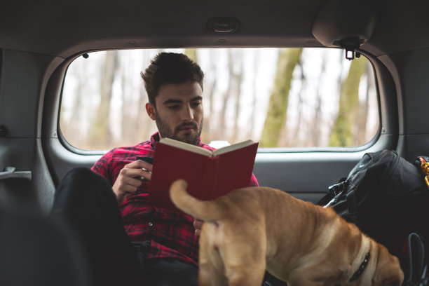 专注于阅读图片下载
