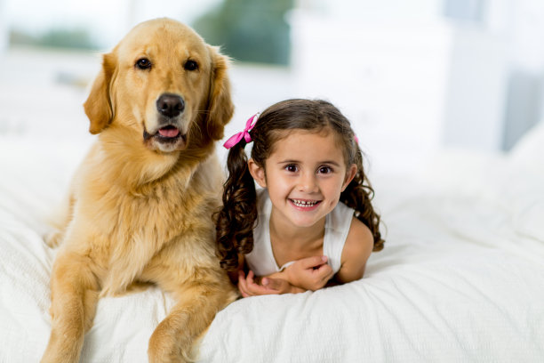 几乎睡觉图片下载