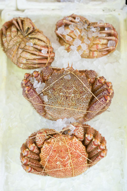 北海道函馆早市的冰上大蟹图片下载