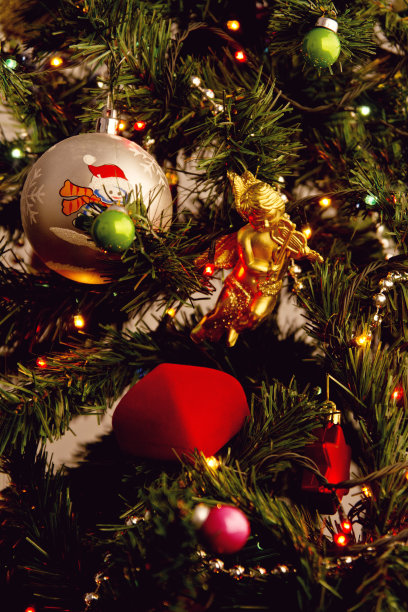 圣诞节订婚图片下载