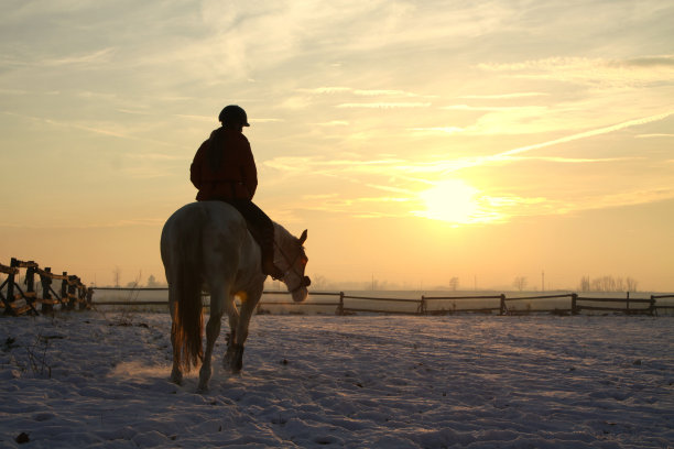 女孩骑着马图片下载