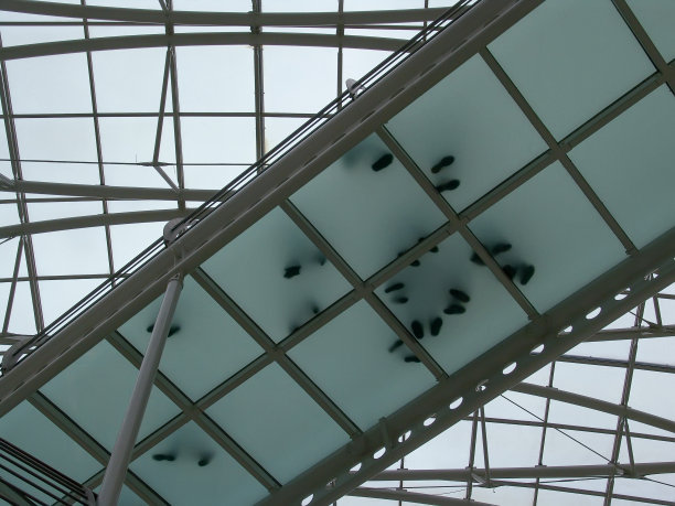 玻璃桥上的脚印图片下载