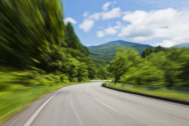 穿越森林之路图片下载