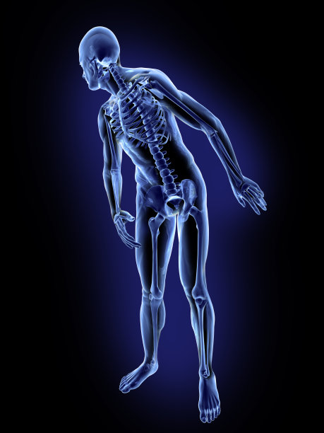 x光与人骨图片下载