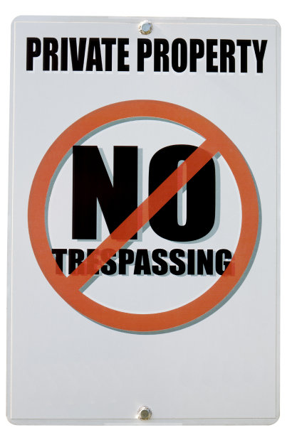 我太太太糊涂了!图片下载