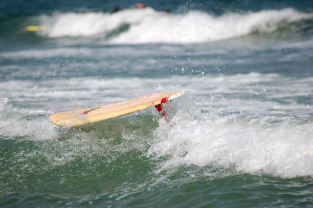 像鸟儿一样自由图片下载