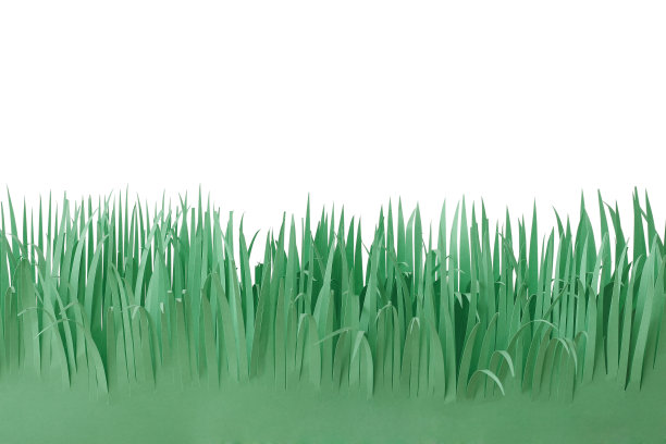 白色背景上的绿草图片下载