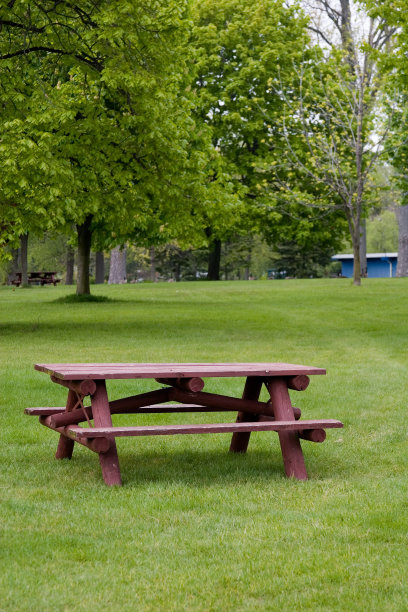 公园里的野餐桌图片下载