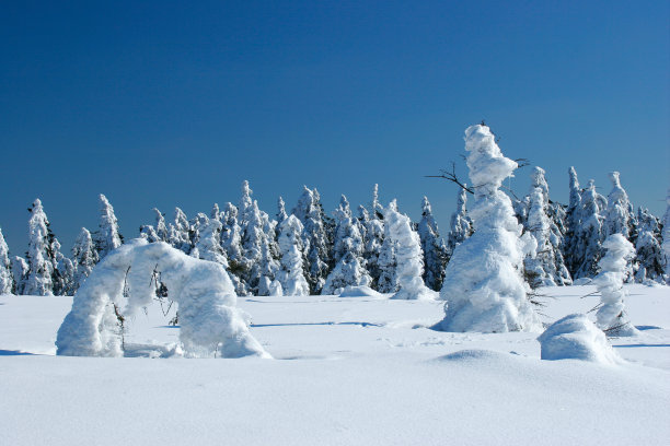 冬天荒野二世图片下载