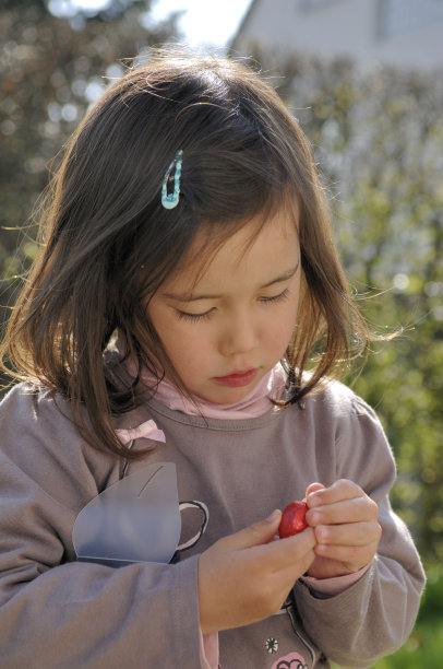 复活节彩蛋图片下载