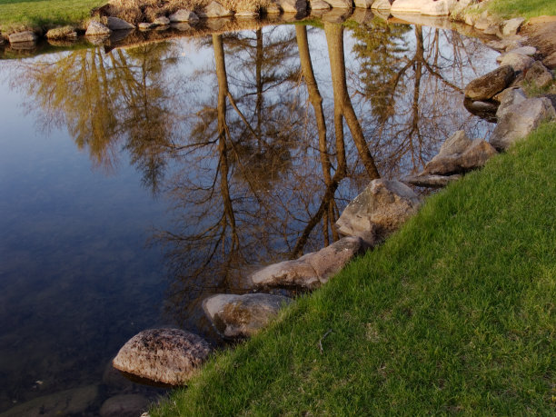 池塘倒影图片下载