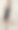 优雅的年轻女子图片下载
