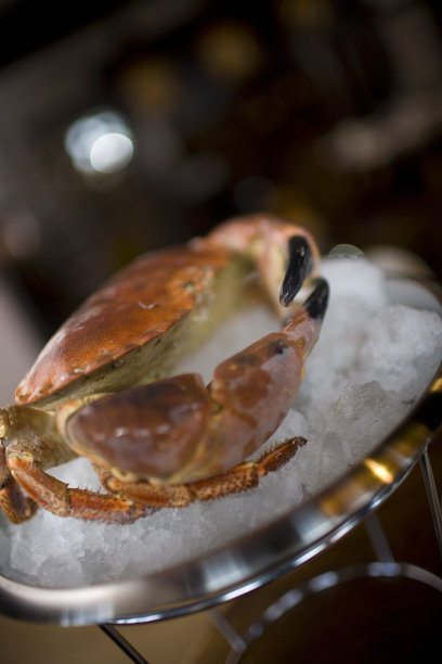准备好的蟹在碎冰床上图片下载